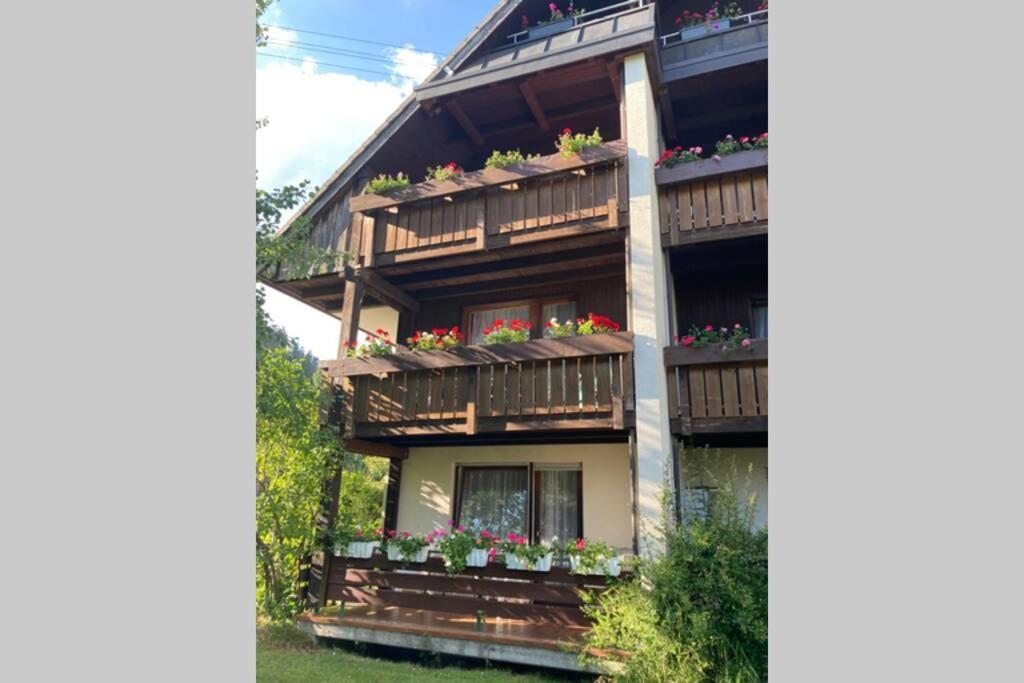 Gemuetliche Ferienwohnung In Sankt Blasien Zewnętrze zdjęcie
