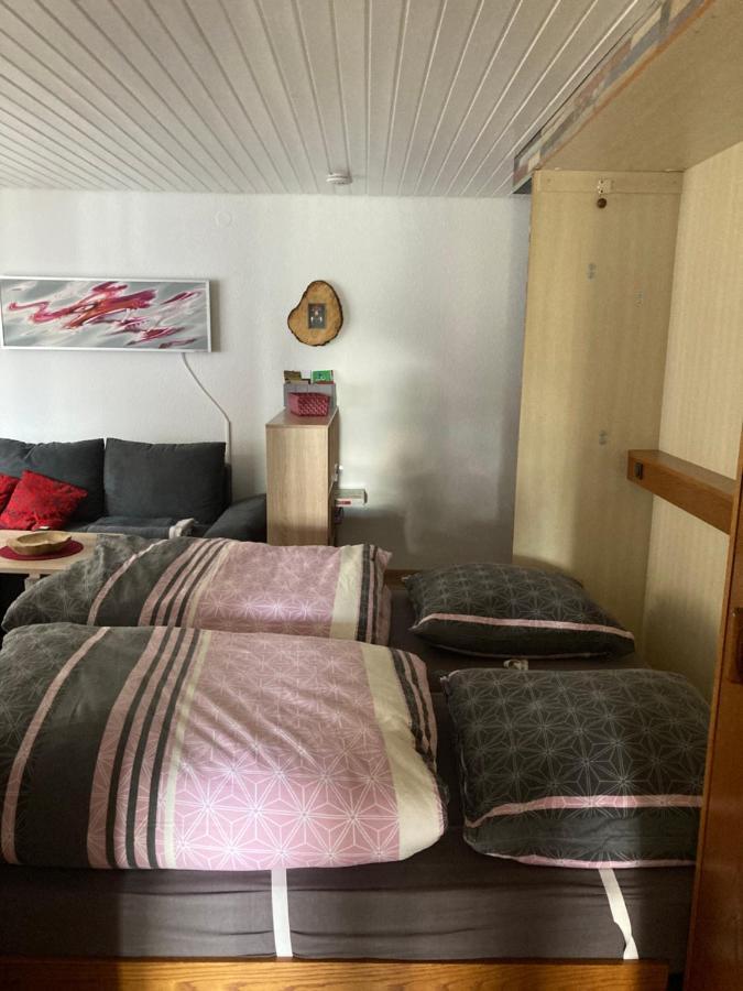 Gemuetliche Ferienwohnung In Sankt Blasien Zewnętrze zdjęcie