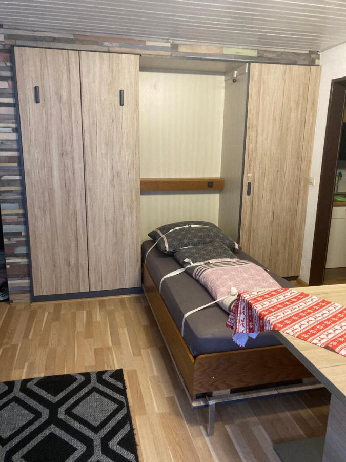 Gemuetliche Ferienwohnung In Sankt Blasien Zewnętrze zdjęcie