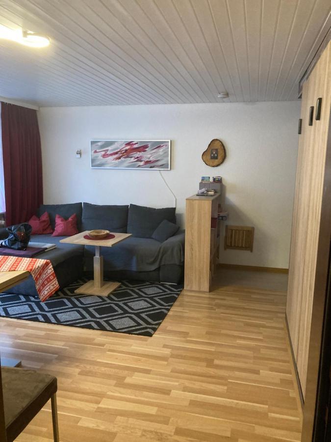 Gemuetliche Ferienwohnung In Sankt Blasien Zewnętrze zdjęcie