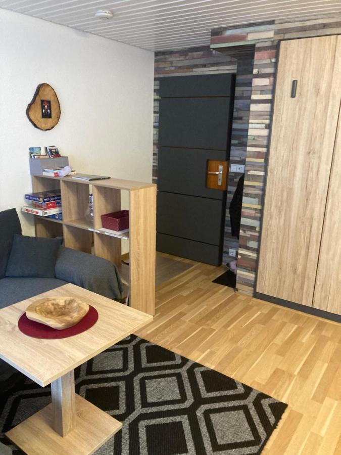 Gemuetliche Ferienwohnung In Sankt Blasien Zewnętrze zdjęcie